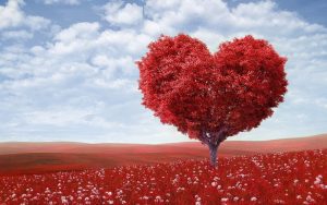 Planned Giving with Sturgeon Community Hospital Foundation
